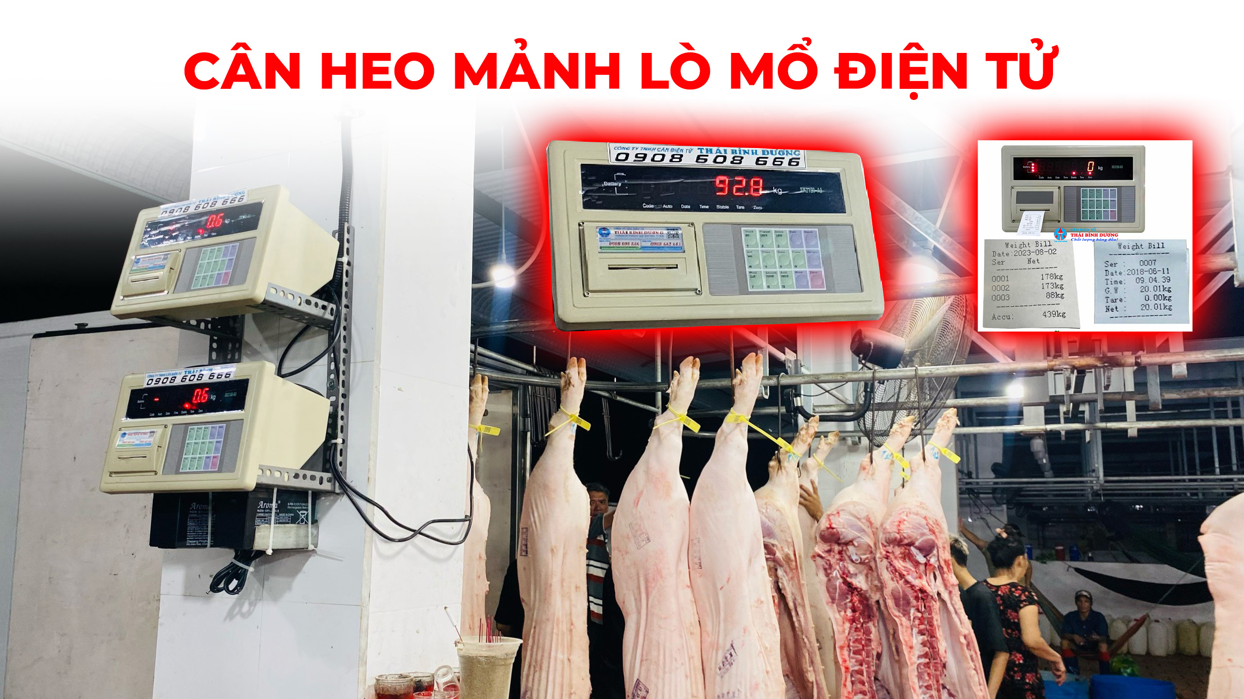 CÂN HEO MẢNH LÒ MỔ ĐIỆN TỬ